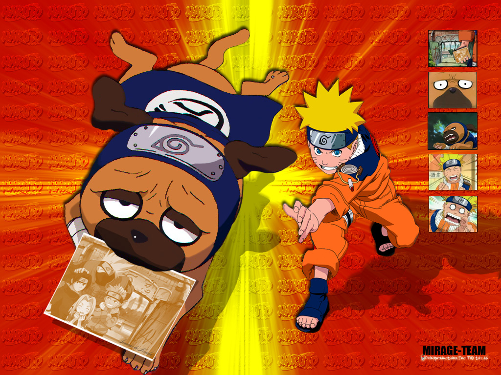 Naruto: Pakkun - Wallpaper Gallery